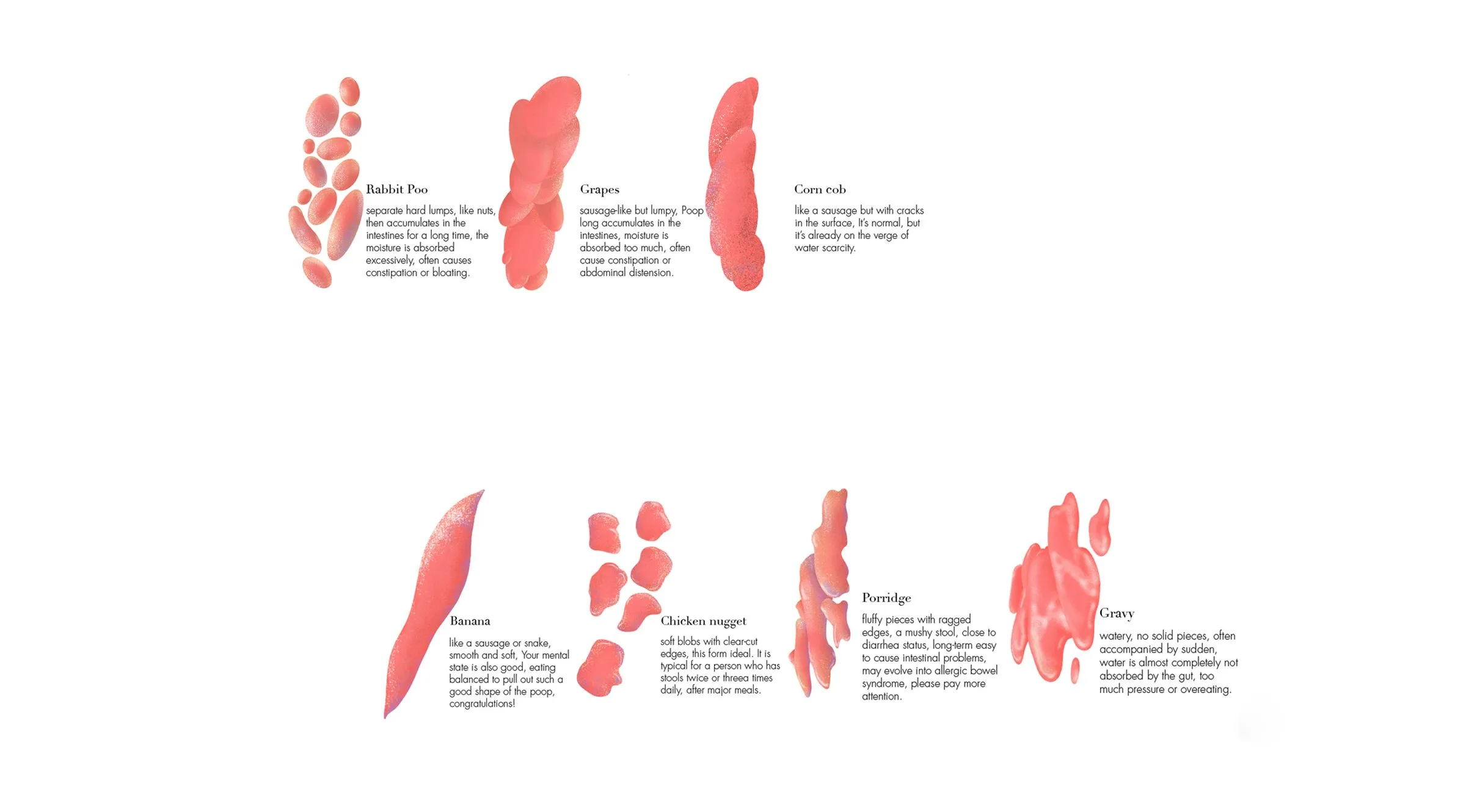 Illustrated Bristol stool chart in coral, each type with a plain name, from 'Rabbit Poo', 'Grapes' and 'Corn cob' to 'Banana', 'Chicken nugget', 'Porridge' and 'Gravy', and a short description